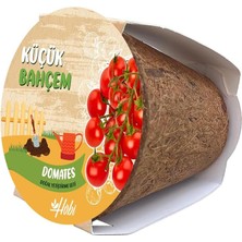Leaf Shop Bahçem Çeri Domates Tohumu Yetiştirme Seti