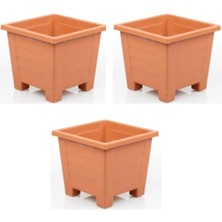 Leaf Shop Adet Küçük Plastik Saksı Seti (Kiremit), 0,6 L, Balkon ve Iç Mekan Için