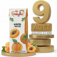 Meysu Nektar Kayısı 9X200 ml
