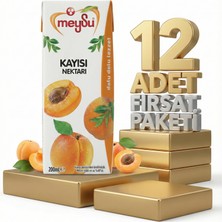 Meysu Nektar Kayısı 12X200 ml