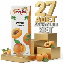 Meysu Nektar Kayısı 27X200 ml