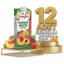 Meysu Nektar Karışık 12X200 ml