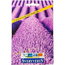 Leaf Shop Lavanta Çiçeği Tohumu