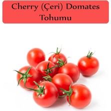 Leaf Shop Organik Çeri Domates Tohumu 1 Paket (1GR=250+ Adet) Cherry Domates Salkım Domates Tohumu