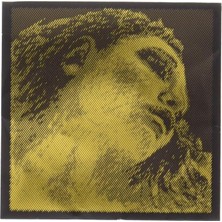 Leaf Shop Evah Pirazzi Gold E ( Mi ) Tek Keman Teli 315421