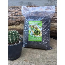 Leaf Shop Kaktüs Toprağı 10 Lt Özel Karışım Sukulent Toprağı Aloe Vera Toprağı Kaktüs Harcı Teraryum Toprağı