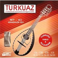 Leaf Shop Takım Mandolin Teli - Set