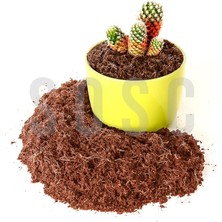 Misda Store Cevizi TORFU%100 Doğal Torf - Cocopeat Hindistan Cevizi Lifi - Doğal Bitki Toprağı 3 Lt