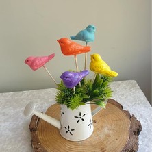Misda Store 5 Li Rengarenk Kuşlu Saksı Dibi Süsü 6 * 3 Mavi,pembe,sarı,kırmızı,çok Renkli Mavi,pembe,sarı,kırmızı,çok Renkli 6 * 3