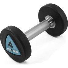 Misda Store LP8002 4 kg Poliüretan Dambıl