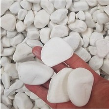 Leaf Shop Beyaz Dolomit Taş 5 kg 2-4 cm Dere Çakıl Taşı Bahçe Süs Taşı Saksı Teraryum Taşı Akvaryum Taşı