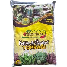 Leaf Shop Outlet Kaktüs ve Sukulent Toprağı 2,5 Lt