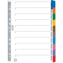 Leaf Shop Karton Ayrac Klasik 10 Renkli A4