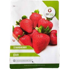 Misda Store Çilek Tohumu Paket