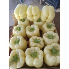 Misda Store Garden Doğal Beyaz Dolma Biberi Tohumu 100 Ad. Tohum