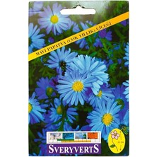 Misda Store Mavi Papatya Çiçeği Tohumu