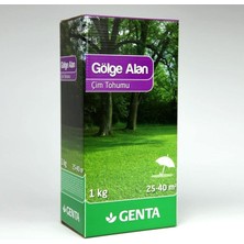 Misda Store Gölge Alan Çim Tohumu 1 kg