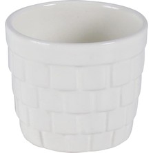 Leaf Shop Kaktüs Seramik Saksı 3'lü Krem