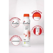 Misda Store Romance Kadın Deodorant, 150 ml