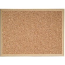 Misda Store Boy Mantar Pano 60ADET Raptiye Hediye 90X60CM Duvara Montaj