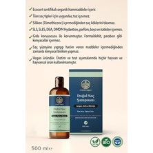 Misda Store Yaşam Isırgan Defne Biberiye Özlü Tüm Saç Tipleri Için Besleyici ve Onarıcı Şampuan 500 ml