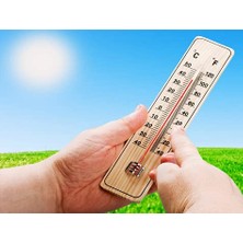 Misda Store Termometre