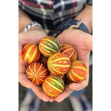 Misda Store Kokulu Süs Kavunu Tohumu / 5 Adet Şamama Tohumu