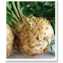 Misda Store Tarım Ata Tohumu Yerli Kereviz Tohumu 2000 Adet Tohum