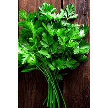 Misda Store Maydanoz Tohumu 100 Adet Tohum