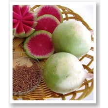 Misda Store Tarım Yerli Doğal Beyaz-Kırmızı Turp Çelebi 500 Adet Tohum