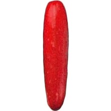 Misda Store Ithal Kırmızı Salatalık Tohumu 10 Adet Tohum Red Cucumber