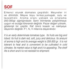 Misda Store Tarım Ata Tohumu Yerli Doğal Köy Domatesi 100 Adet Tohum