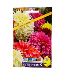 Misda Store Yıldız Çiçeği Tohumu