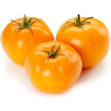 Misda Store Ithal Iri Turuncu Domates Tohumu 5 Adet Tohum