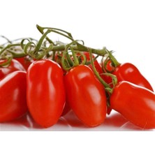 Misda Store Dünyam 20 Adet Patio San Marzano Domates Tohumu