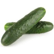 Leaf Shop Organik Alman Hıyarı Tohumu 1 Paket (10 GR=300+ Adet) Dikenli Alman Salatalık Tohumu