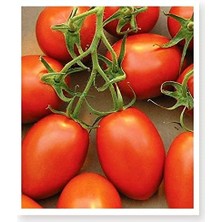 Misda Store Tarım Ata Tohumu Yerli Doğal Bursa Domatesi 100 Adet Tohum