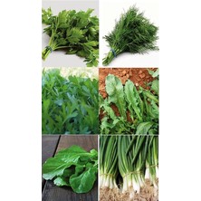 Leaf Shop Tarım Ata Tohumu Yerli Yeşillik Sebzeler 6000 Adet Tohum Ekonomik Paket