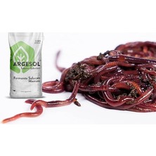 Leaf Shop Tarım 500 Adet Kırmızı Kaliforniya Kompost Gübre Solucanı ve 2.5 kg Fermente Solucan Maması