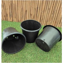 Misda Store Üretim Saksısı 50 Adet 2,7 Lt 16X16 cm Plastik Saksı Siyah Üretim Saksı Bitki Üretim Saksısı