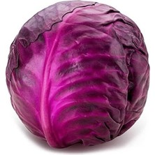 Misda Store Organik Kırmızı Lahana Tohumu 1 Paket (10GR=2000+ Adet) Kırmızı Lahana Mohrenkohf Tohumu