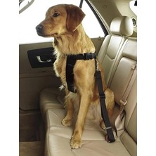 Leaf Shop Evcil Hayvan Araç Emniyet Kemeri Kedi Köpek Araba Oto Tasması Oto Aksesuarları (Siyah)