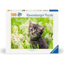 Leaf Shop 500P Puzzle Kedi Foto, Yapboz