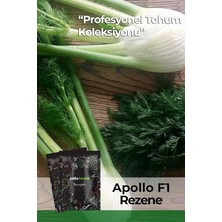 Misda Store Botanik 50 Adet A*pollo Rezene Tohumu