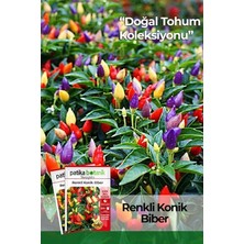 Leaf Shop Botanik 200 Adet Renkli Konik Biber Tohumu