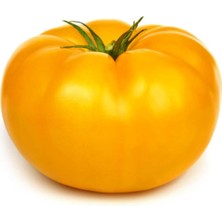 Misda Store Look Nadir Dev Italyan Sarı Pileli Domates Tohumu 5 Tohum TH-THMCMTHM02