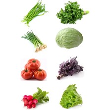 Misda Store Dünyam Tohum Seti, 8 Çeşit Sebze Tohumu (Fasulye, Maydanoz, Soğan, Lahana, Domates,reyhan,turp,marul) Tohumu