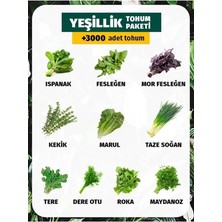 Misda Store Dünyam 10 Çeşit Yeşillik Tohum Paketi 3000 Tohum