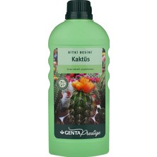 Misda Store Prestige Kaktüsler Için Sıvı Bitki Besini Gübre 500 ml