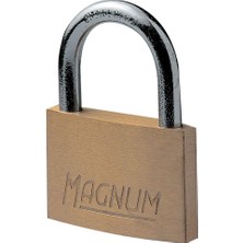 Misda Store Lock Magnum CAD30 30 mm Pirinç Dirsek Asma Kilit